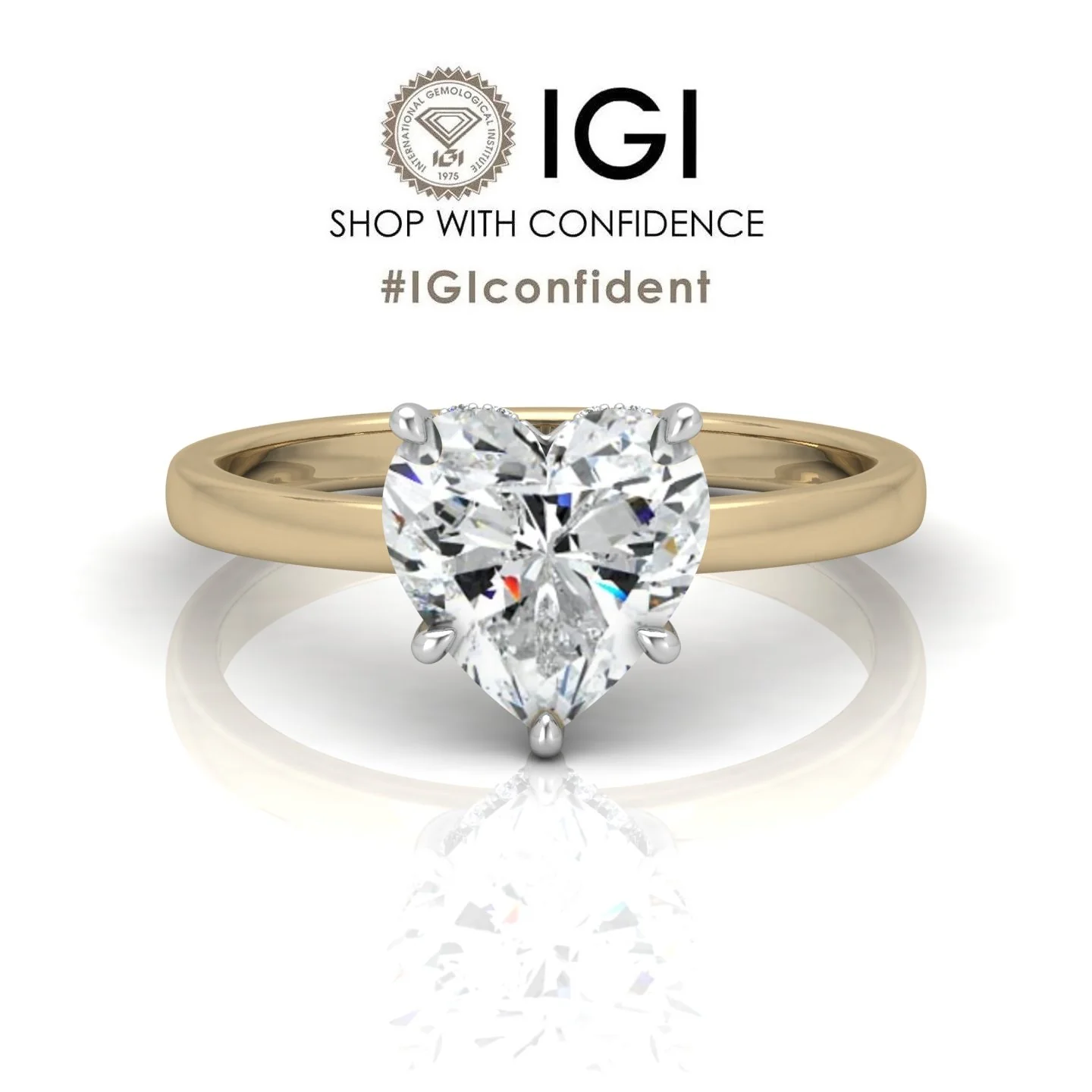 F/VS 4.20Ct Heart Diamond Hidden Halo Engagement Ring